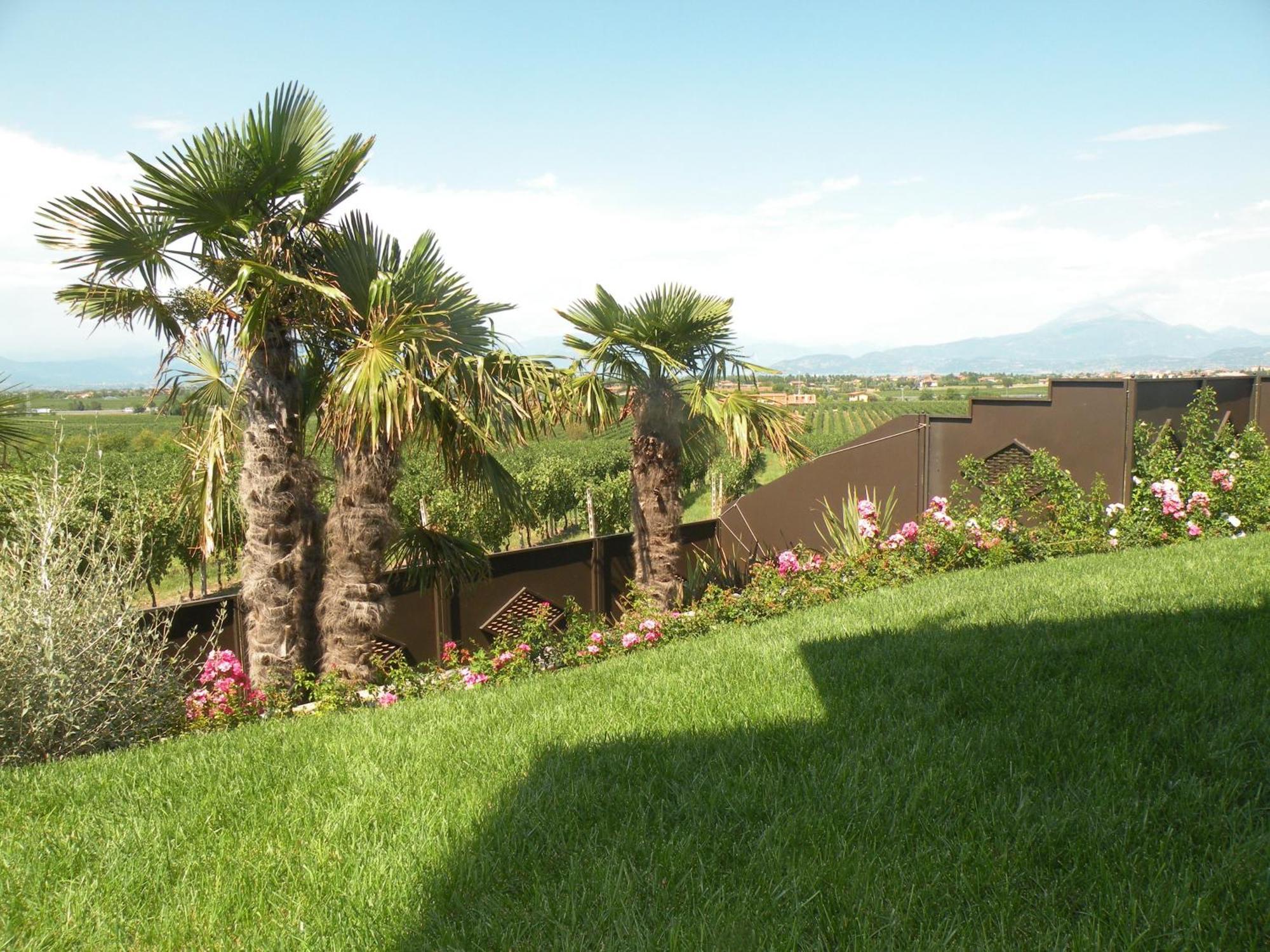 Sweet Life Bed & Breakfast Peschiera del Garda Dış mekan fotoğraf